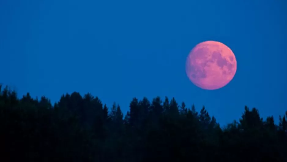 Descubre por qué le llaman Luna Rosa (Foto: Referencial)