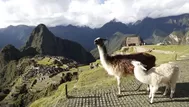 Entradas a Machu Picchu: ¿Cómo comprar los boletos?
