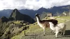 Entradas a Machupicchu: ¿cuánto cuestan y cómo comprarlas por internet?