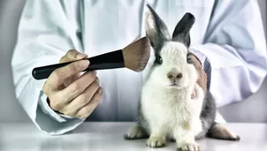Un producto "cruelty free" puede contener ingredientes de origen animal.