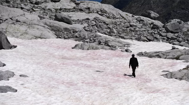 Los peligrosos efectos de la nieve rosa que apareció en Italia