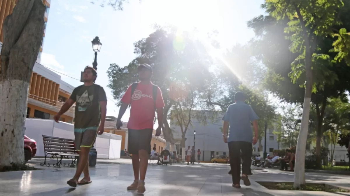 Los árboles son cruciales para que el calor no se acumule a lo largo del día. (Foto: Andina)