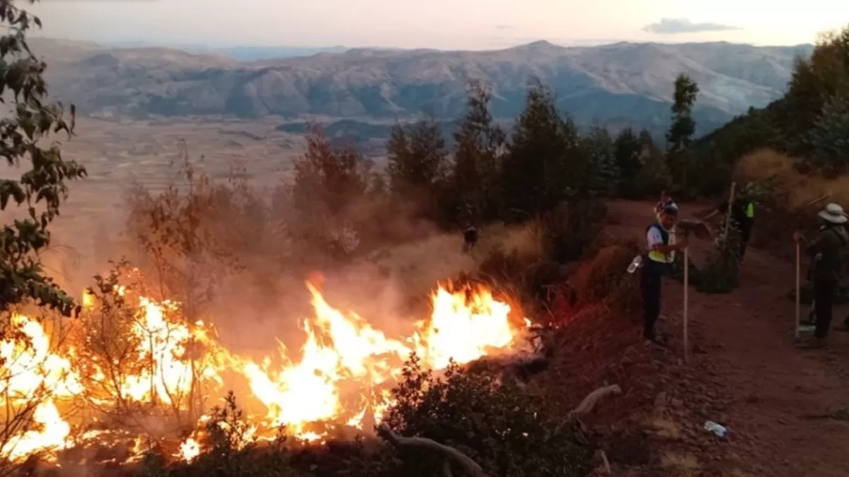 La ausencia de lluvias, altas temperaturas y sequedad junto a malas prácticas humanas propician incendios forestales. (Foto: Andina)