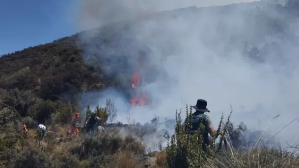 Zonas agrícolas se pierden ante la destrucción de incendios forestales. (Foto: Andina)