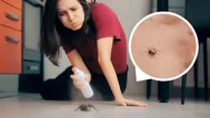 ¿Cuándo hay que preocuparse por la picadura de una araña en casa?