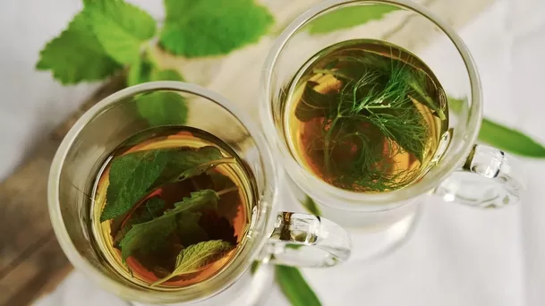 Plantas medicinales que puedes consumir en infusiones