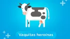 ¿Cuál es el origen de las vacunas y qué papel tuvieron las vacas?