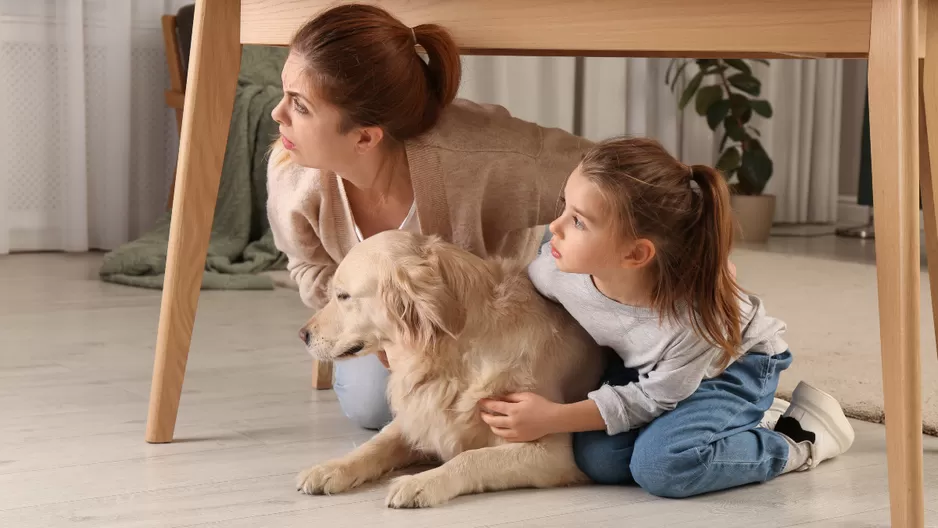 ¿Qué animales sienten los temblores antes?