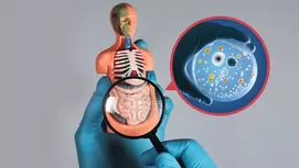 ¿Qué pasa cuando llevas el celular al baño?