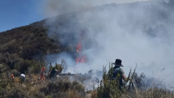 Según el Centro de Operaciones de Emergencia Nacional (COEN), 21 personas han fallecido desde julio a causa de incendios forestales en el Perú. (Foto: Andina)