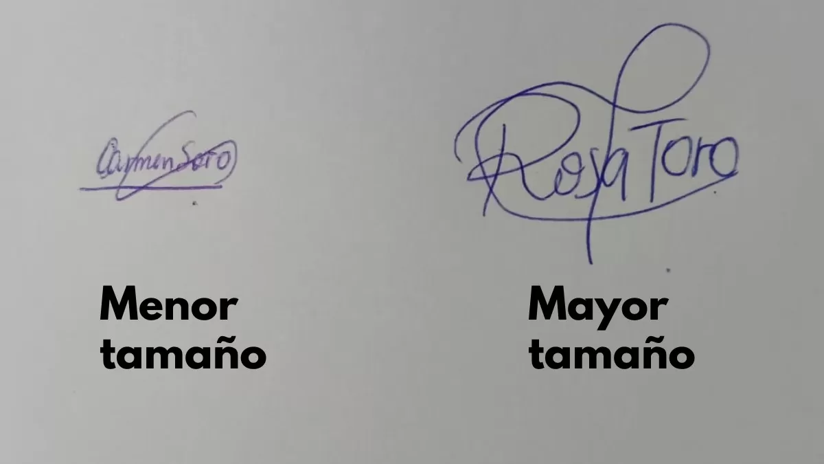 Tamaño de las firmas. (Foto: ÚtileInteresante.pe)