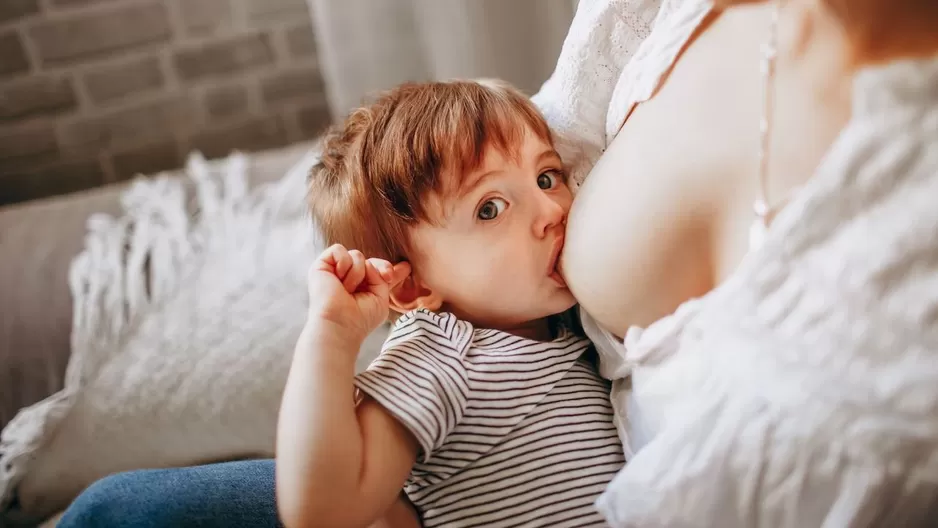 ¿A qué edad es recomendable dejar de dar pecho? ¿A qué edad es recomendable dejar de dar pecho?