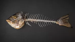 Es importante que sepas como actuar en estos casos