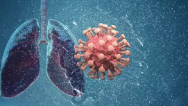 Los otros órganos que son afectados por fumar y que no sabías