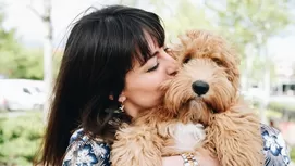 ¿Cuándo y por qué debes esterilizar a tu mascota? 