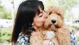 ¿Por qué tu perro se emociona cuando llegas a casa?