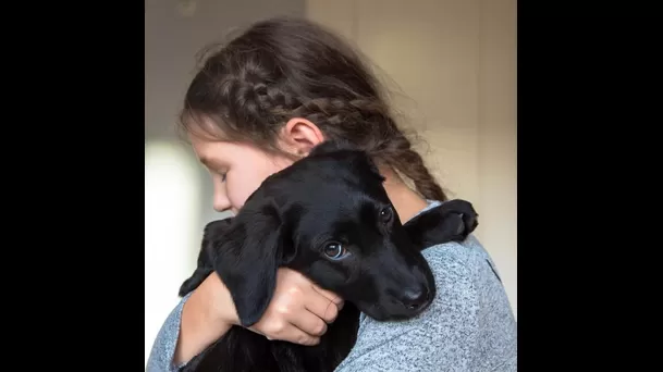 Despedirnos de manera muy afectuosa puede provocar alarma en nuestro perrito