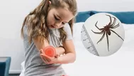 ¿A qué órgano ataca la mordedura de araña en niños y adultos?