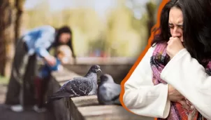 Conoce los riesgos del contacto directo o indirecto con las palomas y cómo prevenirlo.