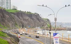 ¿En qué playas de Lima se agrupan aves que expulsan heces "peligrosas"? - Noticias de edicion-medio-dia