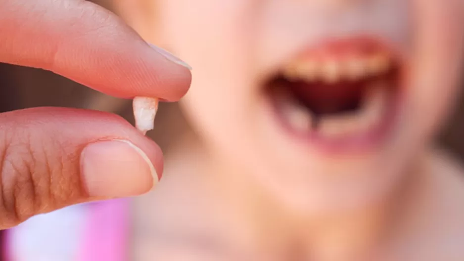 Las células madre de los dientes de leche pueden usarse incluso en tratamientos contra el cáncer.