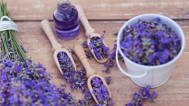 La lavanda es un ingrediente que te puede ayudar a proteger tu ropa de las polillas.