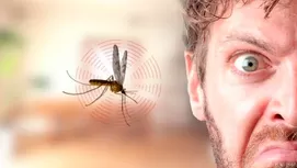 Descubre por qué los mosquitos solo te pican a ti y no a los demás