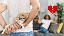 ¿Cómo es el trámite de conciliación para la tenencia de una mascota?