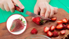 ¿El zapallo es fruta o verdura? Diferencia entre ambos alimentos