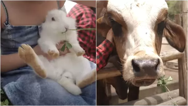 Granja interactiva. (Foto: Jesús García)