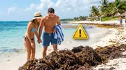 ¿Cuál es la mejor temporada para viajar a playas del Caribe sin sargazo?