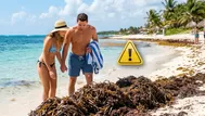 ¿El sargazo es peligroso? Conoce las playas caribeñas sin algas
