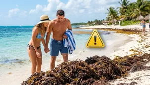 ¿Cuál es la mejor temporada para viajar a playas del Caribe sin sargazo?