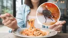 ¿Se posaron moscas en tu comida? Es peligroso por lo que causa