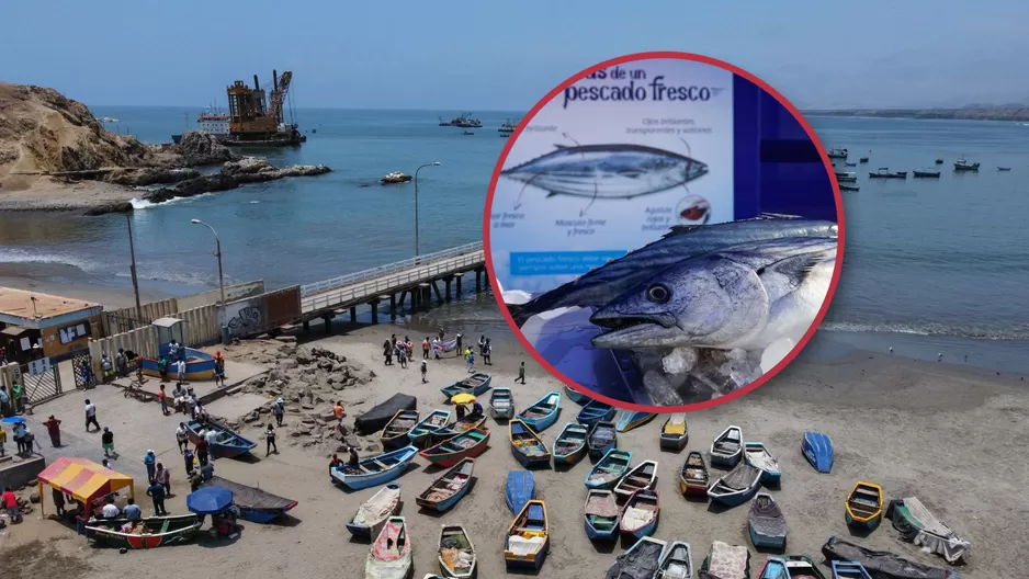 ¿Es seguro comer pescados y mariscos tras el derrame de petróleo?