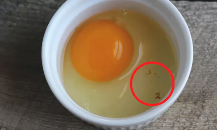 Como saber si un huevo cocido está malo