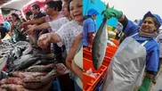 Estas señales te ayudarán a detectar un pescado fresco. (Foto: Andina)