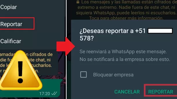 Reportar mensaje en WhatsApp. 