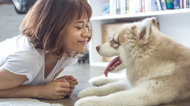 La razón por la que tratas a tu perro como a un hijo