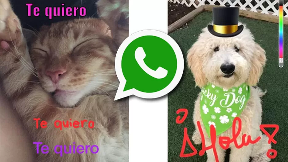 Ponle color y detalles a tus estados y fotos en WhatsApp