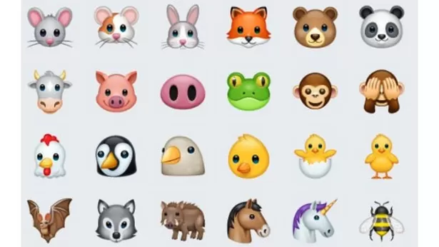 Significado de los animales más populares de WhatsApp