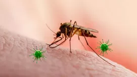 ¿Cómo ahuyentar a los zancudos de noche? Los trucos más efectivos