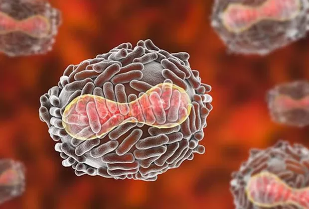 ¿Qué virus se descongelarán por el calentamiento global?