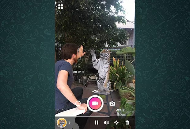 hologramas en whatsapp