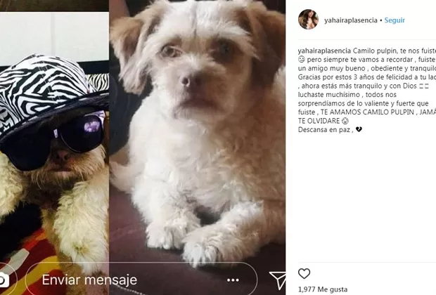 Yahaira Plasencia anuncia triste pérdida y deja mensaje en Instagram