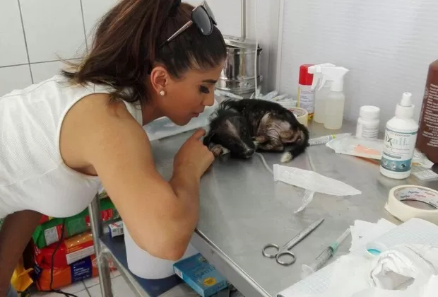 Yahaira Plasencia muestra su solidaridad con animales afectados por el huaico